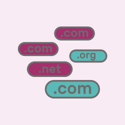 website domain name registration